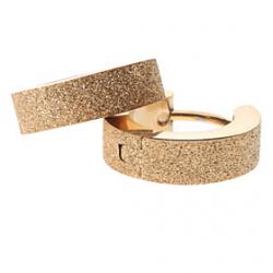 Low Price on Golden Sand Stainless Steel Earrings
