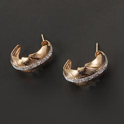 Classic Feather Shape Golden Hoop Earring(1 Pair) Sale