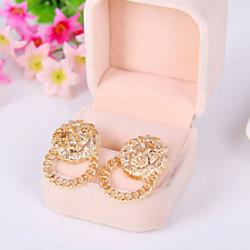 Low Price on European and American fashion personality wild earrings fashion queen Lionhead star earrings E915